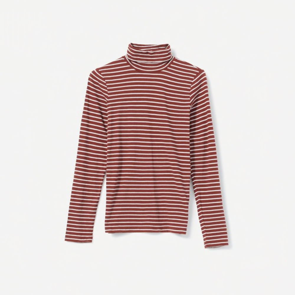 Everlane Cotton Turtleneck Tee